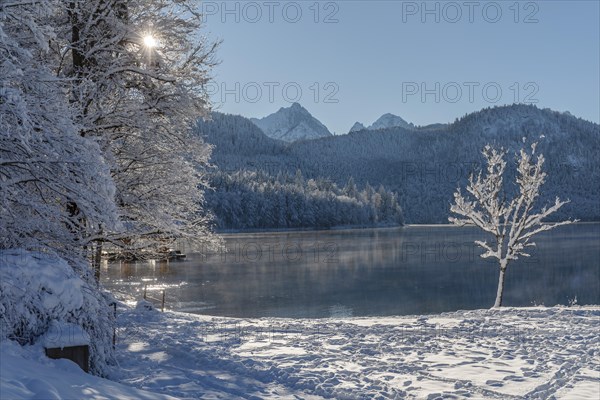 Alpsee, Schwangau, Ostallgaeu, Swabia, Bavaria, Germany, Schwangau, Ostallgaeu, Bavaria, Germany, Europe