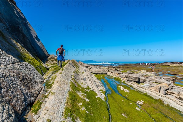 A man next to the marine vegetation in Algorri cove on the coast in the flysch of Zumaia, Gipuzkoa. Basque Country