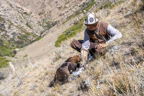 Traditional Kyrgyz eagle hunter with eagle in the mountains, hunting, eagle with captured rabbit, near Bokonbayevo, Issyk Kul region, Kyrgyzstan, Asia