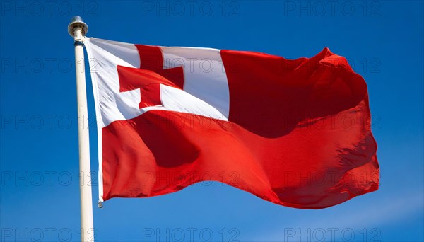 The flag of Tonga, fluttering in the wind, isolated, against the blue sky