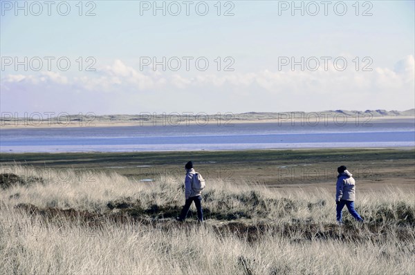 Sylt, Schleswig-Holstein, People walking through grassy landscape with view of calm water and wide horizon, Sylt, North Frisian Island, Schleswig-Holstein, Germany, Europe