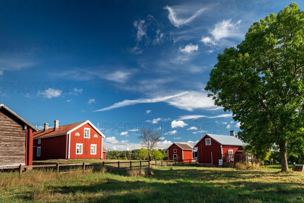 Falun red or Swedish red painted houses, farm, Geta, Aland, or Aland Islands, Gulf of Bothnia, Baltic Sea, Finland, Europe