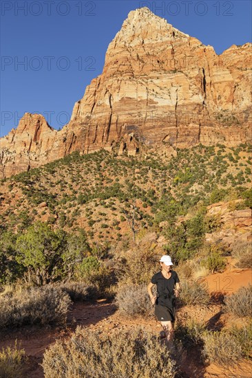 Jogger on the Watchman Trail, Watchman Mountain, Zion National Park, Colorado Plateau, Utah, USA, Zion National Park, Utah, USA, North America