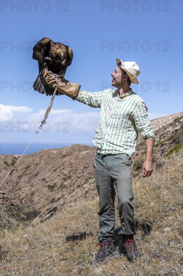 Tourist holding an eagle in his arms, traditional Kyrgyz eagle hunt, near Bokonbayevo, Issyk Kul region, Kyrgyzstan, Asia