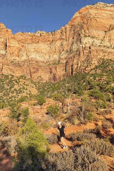 Jogger on the Watchman Trail, Watchman Mountain, Zion National Park, Colorado Plateau, Utah, USA, Zion National Park, Utah, USA, North America