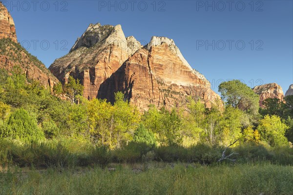 Zion National Park, Colorado Plateau, Utah, USA, Zion National Park, Utah, USA, North America