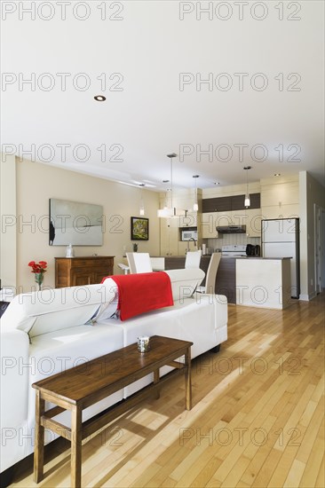 White leather sofa in living room and view of dining room area and kitchen inside a renovated ground floor apartment in an old residential cottage style home, Quebec, Canada, North America