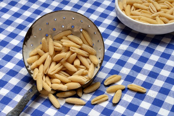 Malloreddus, Sardinian gnocchetti, traditional pasta variety from Sardinia, Italy, Europe