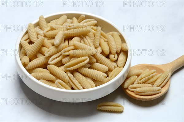 Malloreddus, Sardinian gnocchetti in shell, traditional pasta variety from Sardinia, Italy, Europe