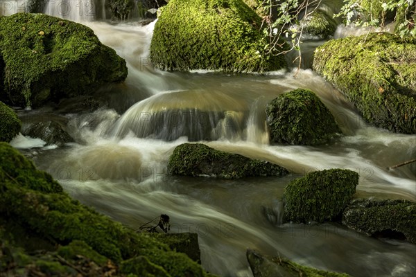 Mountain stream in the forest with mossy basalt rocks, blocks of basalt in the stream bed, Tertiary volcano, flowing water, motion blur, Krummbach, Vogelsberg Volcanic Region nature park Park, Nidda, Wetterau, Hesse, Germany, Europe