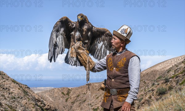 Traditional Kyrgyz eagle hunter with eagle in the mountains, hunting, eagle spreads its wings, near Bokonbayevo, Issyk Kul region, Kyrgyzstan, Asia