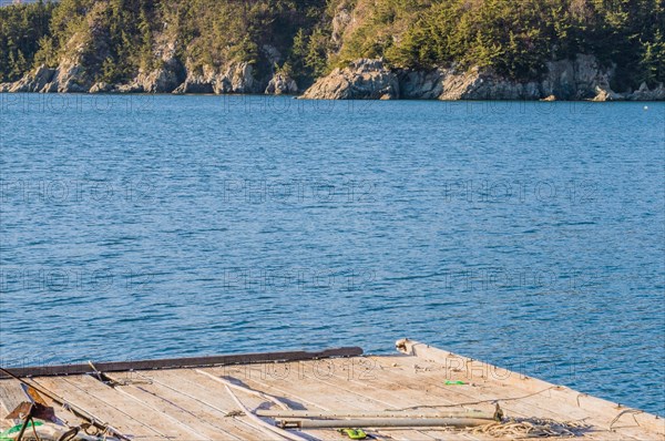 Floating pier made of wood in a sea of blue water with shoreline in the background in South Korea