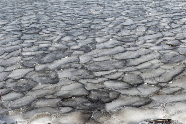 Winter, ice pattern formation, Chateauguay River, Province of Quebec, Canada, North America