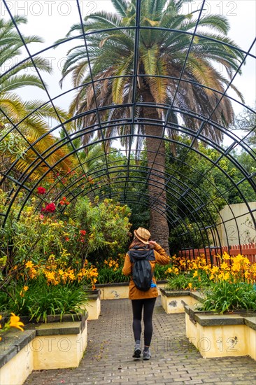 A woman wearing a hat and a backpack walks through a garden. The garden is filled with yellow flowers and a large tree. The woman is enjoying her walk and taking in the beauty of the garden