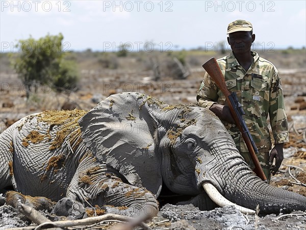 Elephant hunting in Africa, AI generated