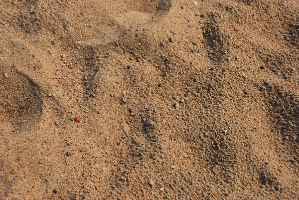 Close-up view of sandy texture with natural patterns and earthy beige tones