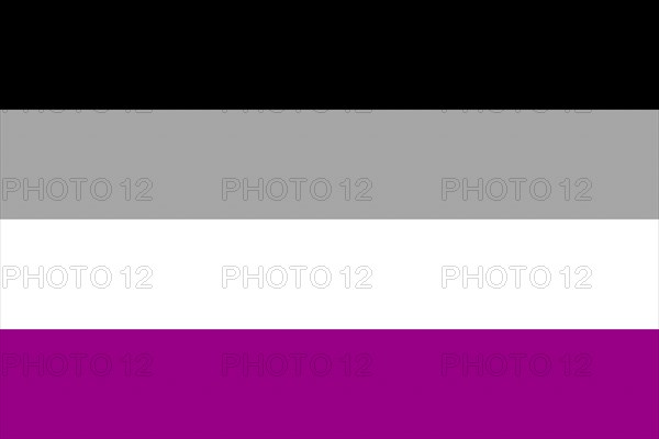 Illustration of the Asexual Pride Flag. Symbol of sexual minorities