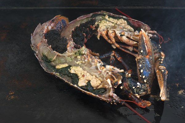 Grilled lobster (homarus) with kabviar and vegetables on a plancha, Atlantic coast, Vandee, France, Europe