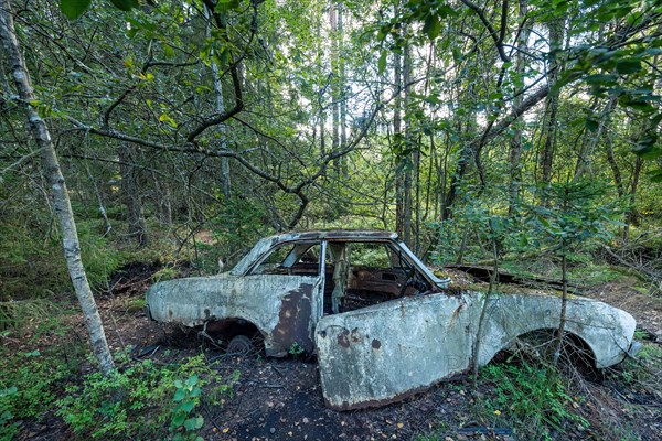 Ancient scrap car, Kyrkoe Mosse car graveyard, Ryd, Tingsryd, Kronobergs laen, Sweden, Europe