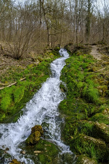 Wiesaz waterfall in the Wiesaz valley in the Swabian Alb near Goenningen, Baden-Wuerttemberg, Germany, Europe