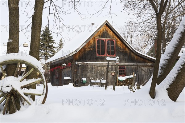 Old wooden rustic barn with red trimmed windows framed by trees in backyard garden in winter, Quebec, Canada, North America