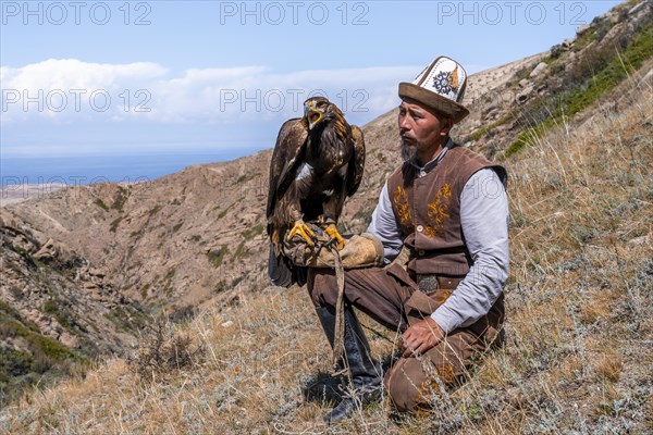 Traditional Kyrgyz eagle hunter with eagle in the mountains, hunting, near Bokonbayevo, Issyk Kul region, Kyrgyzstan, Asia