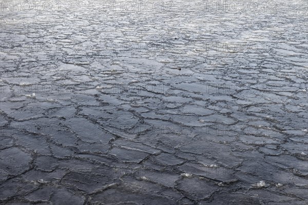 Winter, ice pattern formation, Chateauguay River, Province of Quebec, Canada, North America