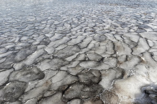 Winter, ice pattern formation, Chateauguay River, Province of Quebec, Canada, North America