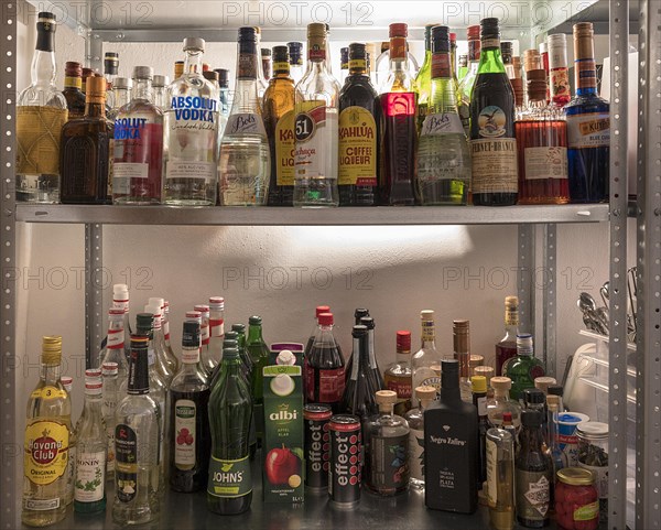 Different types of alcohol on a shelf, Mecklenburg-Vorpommern, Germany, Europe