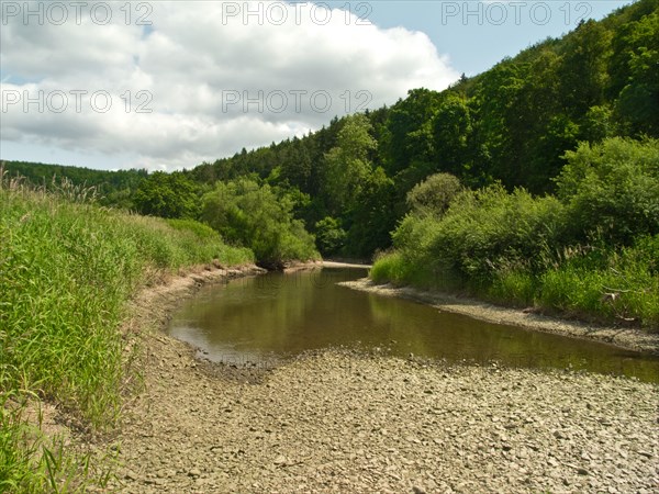 Danube infiltration site near Immendingen, Tuttlingen district, Baden-Wuerttemberg, Germany, Europe