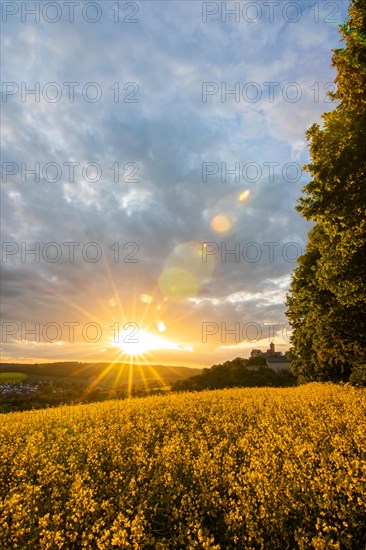 Landscape at sunrise. Beautiful morning landscape with fresh yellow rape fields in spring. Small castle in the yellow fields on a hill. Historic Ronneburg Castle in the middle of nature, Ronneburg, Hesse, Germany, Europe