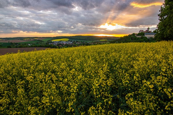 Landscape at sunrise. Beautiful morning landscape with fresh yellow rape fields in spring. Small castle in the yellow fields on a hill. Historic Ronneburg Castle in the middle of nature, Ronneburg, Hesse, Germany, Europe