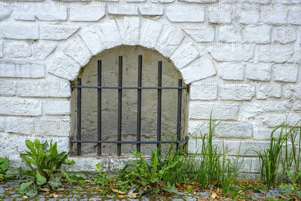 Barred cellar window and dandelion in the historic old town of Rostock, Mecklenburg-Vorpommern, Germany, Europe