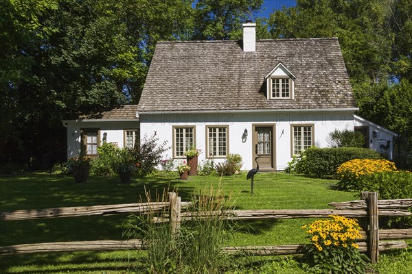 Old circa 1886 white with beige and brown trim Canadiana cottage style home facade with landscaped front yard that includes yellow Rudbeckia fulgida â€˜Goldsturm', Coneflowers in summer, Quebec, Canada, North America