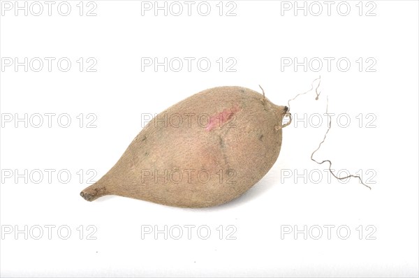 Yacon roots on a white background