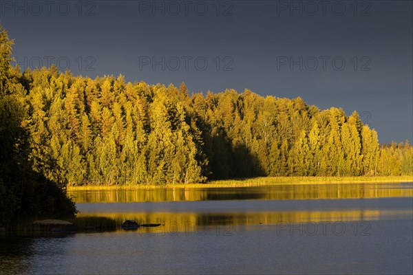 Lake near Hartola, forest, dramatic light mood, Finland, Europe
