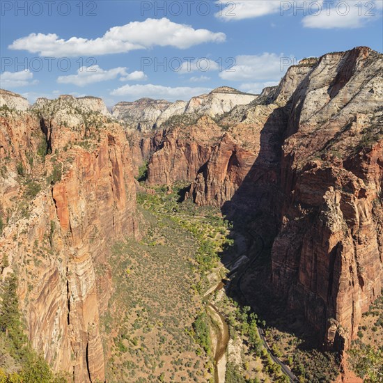 View of Zion Canyon from Angels Landing, Zion National Park, Colorado Plateau, Utah, USA, Zion National Park, Utah, USA, North America