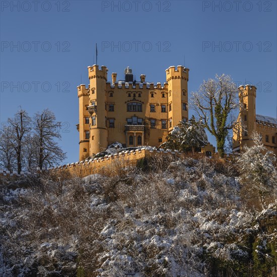 Hohenschwangau Castle, Schwangau near Fuessen, Allgaeu, Bavaria, Germany, Fuessen, Bavaria, Germany, Europe