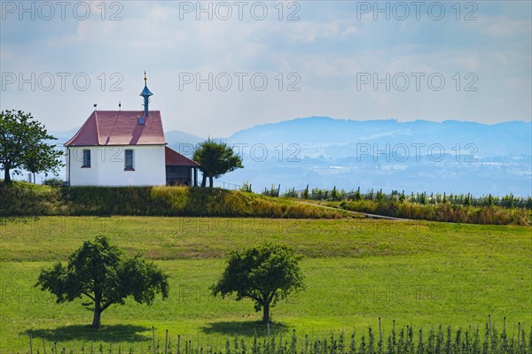 St Anthony's Chapel, Selmnau, near moated castle, Lake Constance, Swabia, Bavaria, Germany Europe