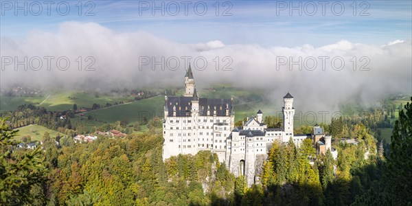 Neuschwanstein Castle near Hohenschwangau, Romantic Road, Ostallgaeu, Bavaria, Germany, Europe