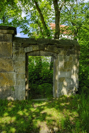 Door frame in a ruined wall, Schoenfeld Castle, Schoenfelder Hochland near Dresden, Saxony, Germany, Europe