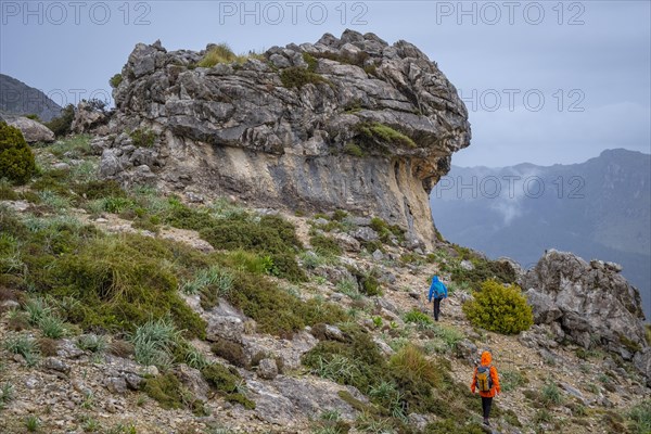 Es Paraigo, ascending Puig Gros de Ternelles, Pollenca, Mallorca, Balearic Islands, Spain, Europe