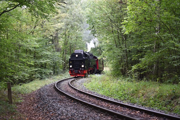 The Harz Narrow Gauge Railway, Brocken Railway, Selketal Railway in the Harz Mountains, Saxony-Anhalt, Germany, Europe