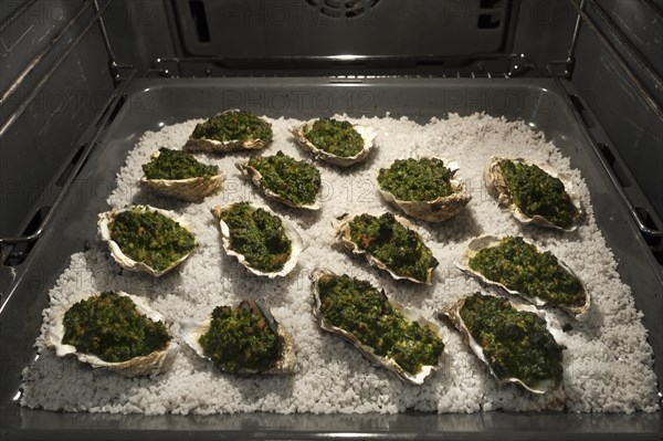 True oysters (Ostreidae) a la Rockefeller with savoury spinach on coarse salt in the oven, Atlantic coast, France, Europe