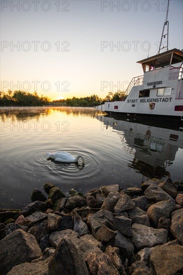 View of a river and its bank. the way to the city with a ferry. Landscape photograph of Seligenstadt, Hesse, Germany, Europe