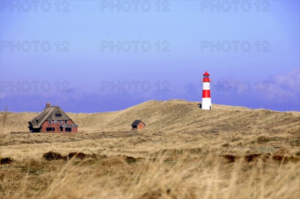 Lighthouse near List, at Ellenbogen, Sylt, North Frisian Island, Schleswig Holstein, Germany, Europe, Red and white lighthouse next to a house surrounded by dunes, Schleswig-Holstein, Europe