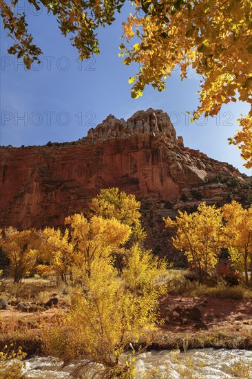 Fremont River and Pectols Pyramid, Capitol Reef National Park, Utah, USA, Capitol Reef National Park, Utah, USA, North America