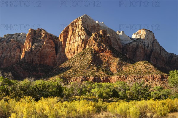 Zion National Park, Colorado Plateau, Utah, USA, Zion National Park, Utah, USA, North America