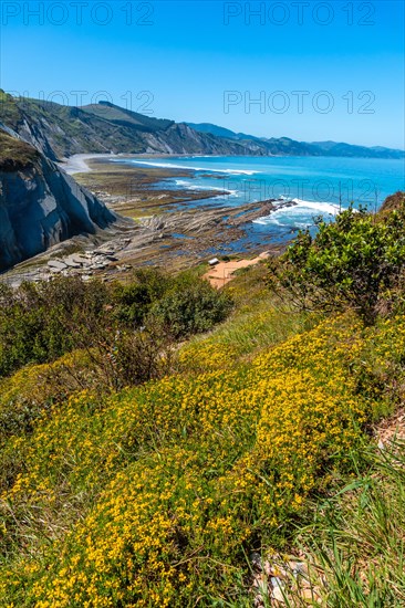 Beautiful Algorri cove in the Flysch Basque Coast geopark in Zumaia, Gipuzkoa. vertical photo