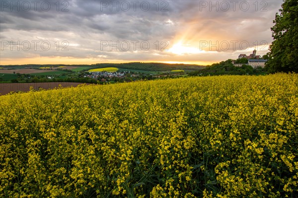 Landscape at sunrise. Beautiful morning landscape with fresh yellow rape fields in spring. Small castle in the yellow fields on a hill. Historic Ronneburg Castle in the middle of nature, Ronneburg, Hesse, Germany, Europe